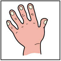 200x200 My Five Senses Preschool Activities, Lessons, And Printables