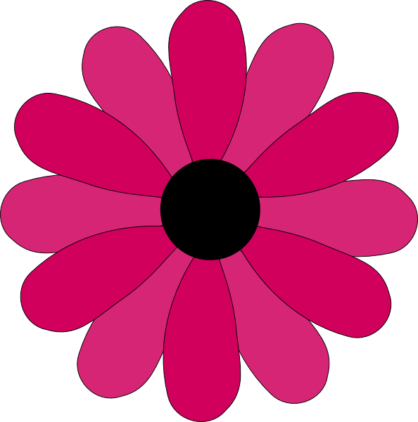 594x600 Pink Two Tone Petals Hi Free Images