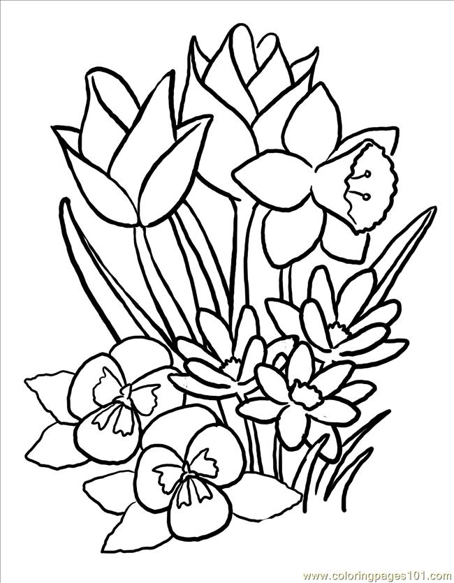 650x835 Free Printable Spring Flowers Coloring Pages