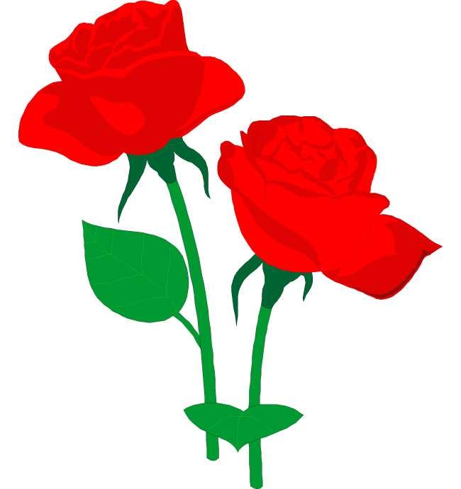 650x690 Top 75 Roses Clip Art
