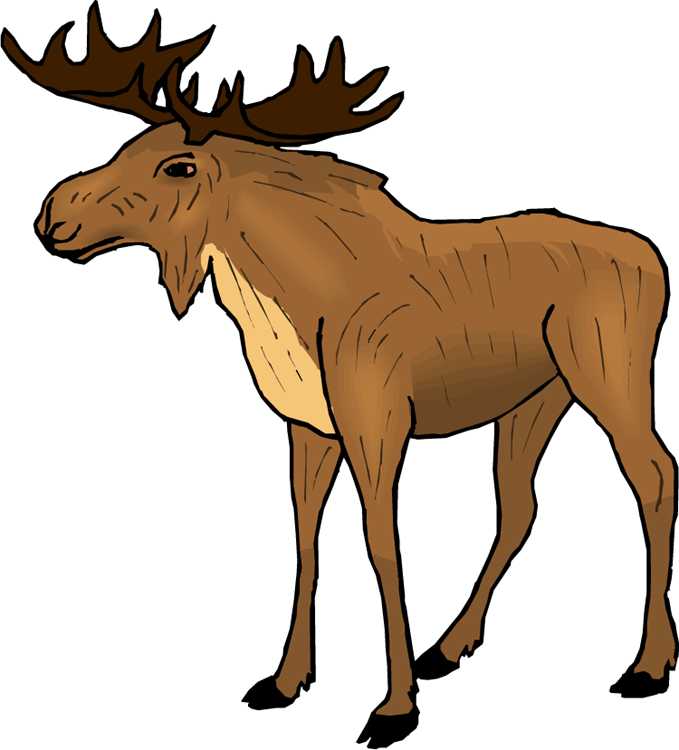 679x750 Cartoon Moose Images Clipart Images Hd Download