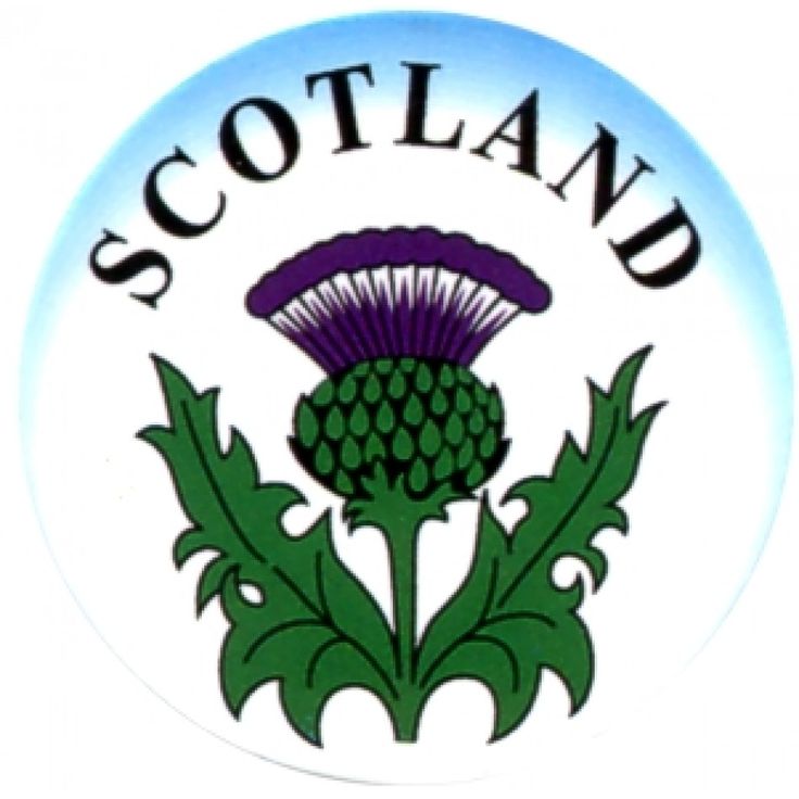 736x736 8 Best 80th Birthday Images Anniversary, Baking