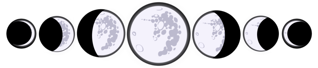 1024x219 Science Rocks 8th Grade April 2017