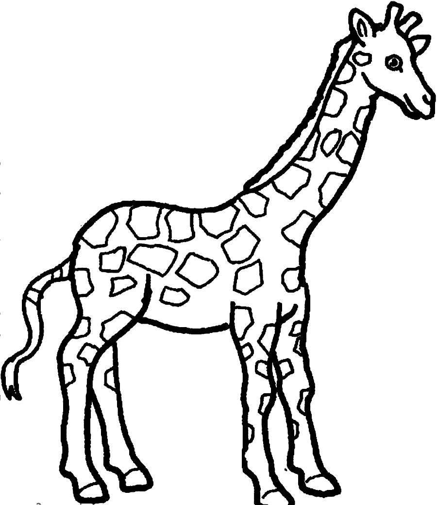 900x1039 Drawn Giraffe Coloring Page
