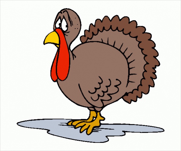 A Pic Of A Turkey