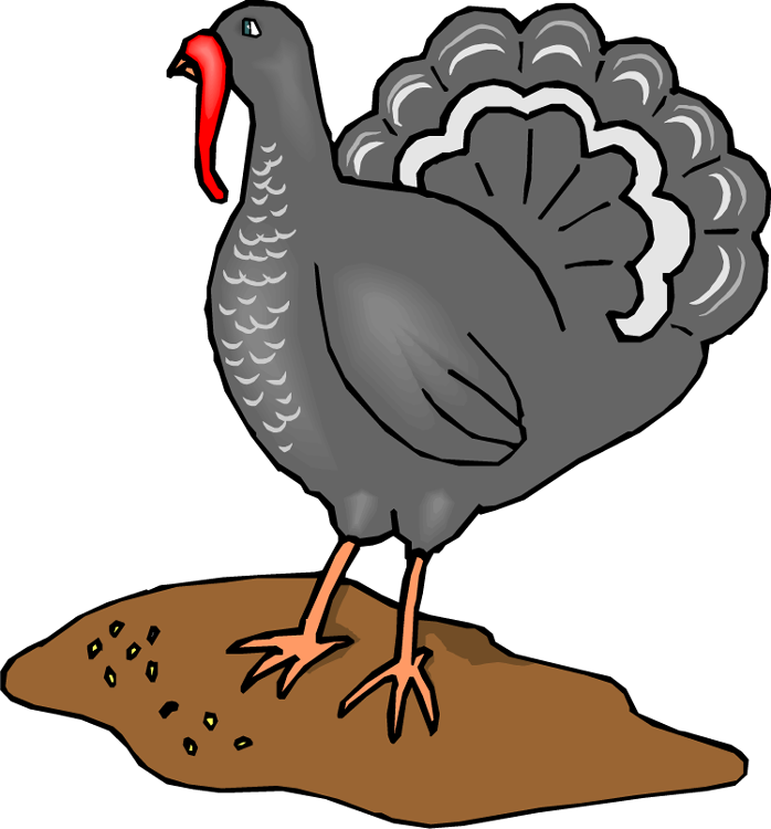 698x750 Free Turkey Clipart