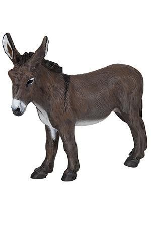 300x450 816 Best Donkey And Mule Page Images Cars, Donkeys