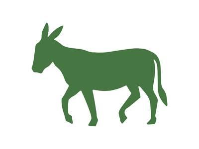 400x300 Donkey Posters