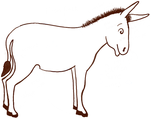 500x397 How To Draw Cartoon Donkeys Amp Mules With Simple Steps Lesson How