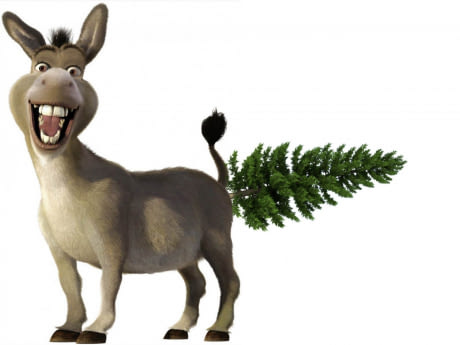 460x345 Best Donkey Fun On 9gag