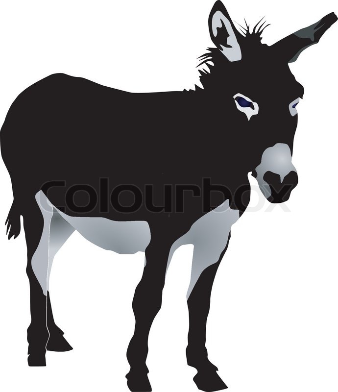 690x800 Buy Stock Photos Of Donkey Colourbox