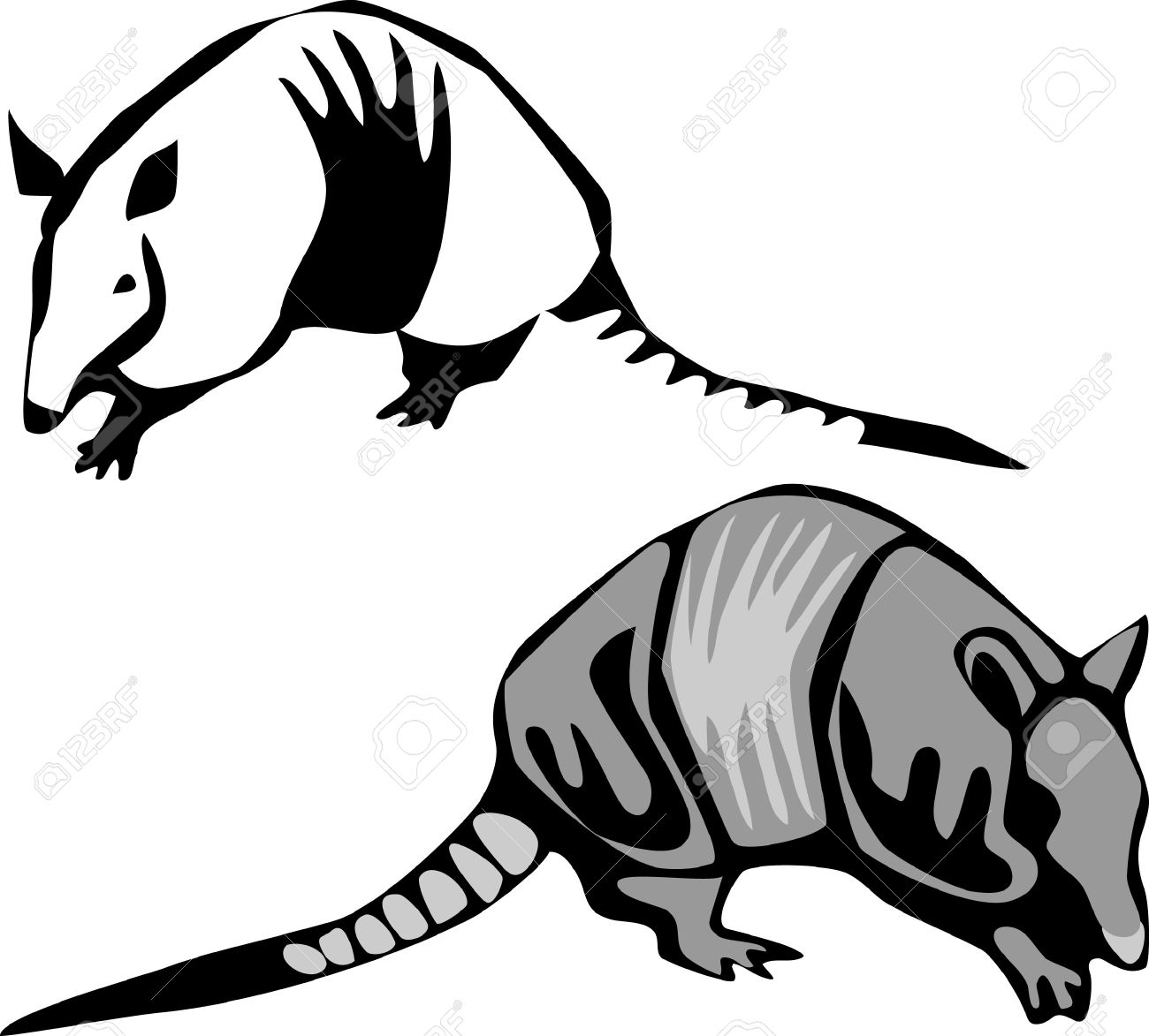 1300x1173 Aardvark Clipart Armadillo Clipart Black And White