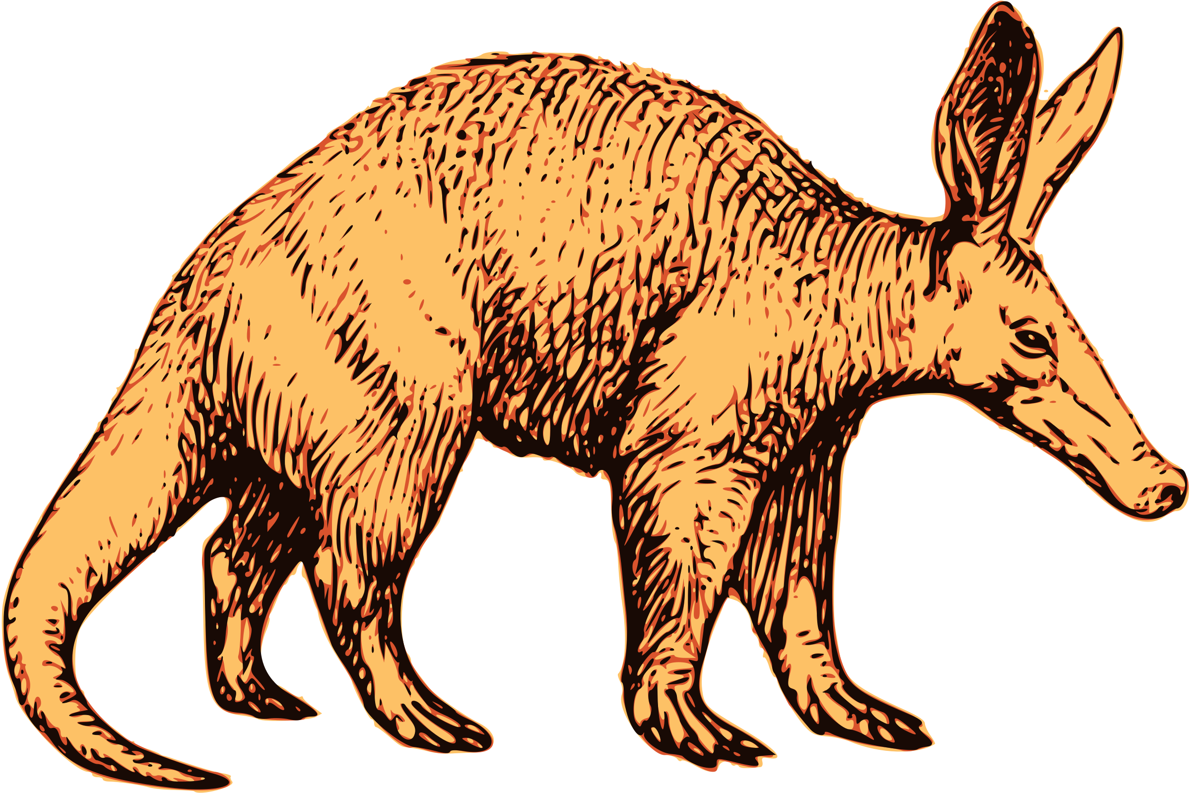 2400x1598 Top 83 Aardvark Clip Art