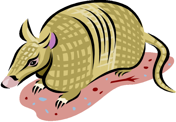 750x519 Aardvark Clipart Armadillo Clipart