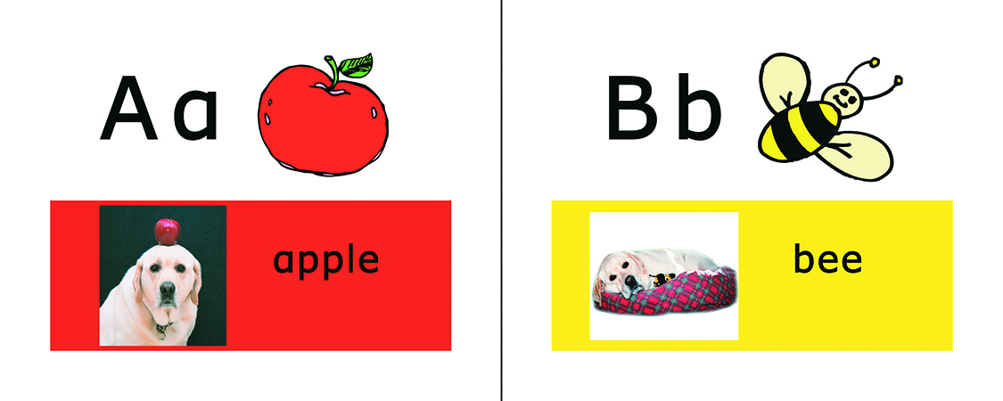 1125x450 Abc Danny Maryruth Books