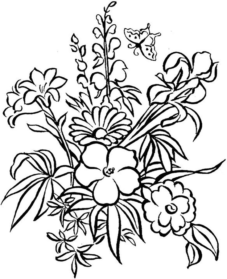 736x906 28 Best Flowers Coloring Pages Images Colouring