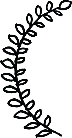 244x463 Free Clipart