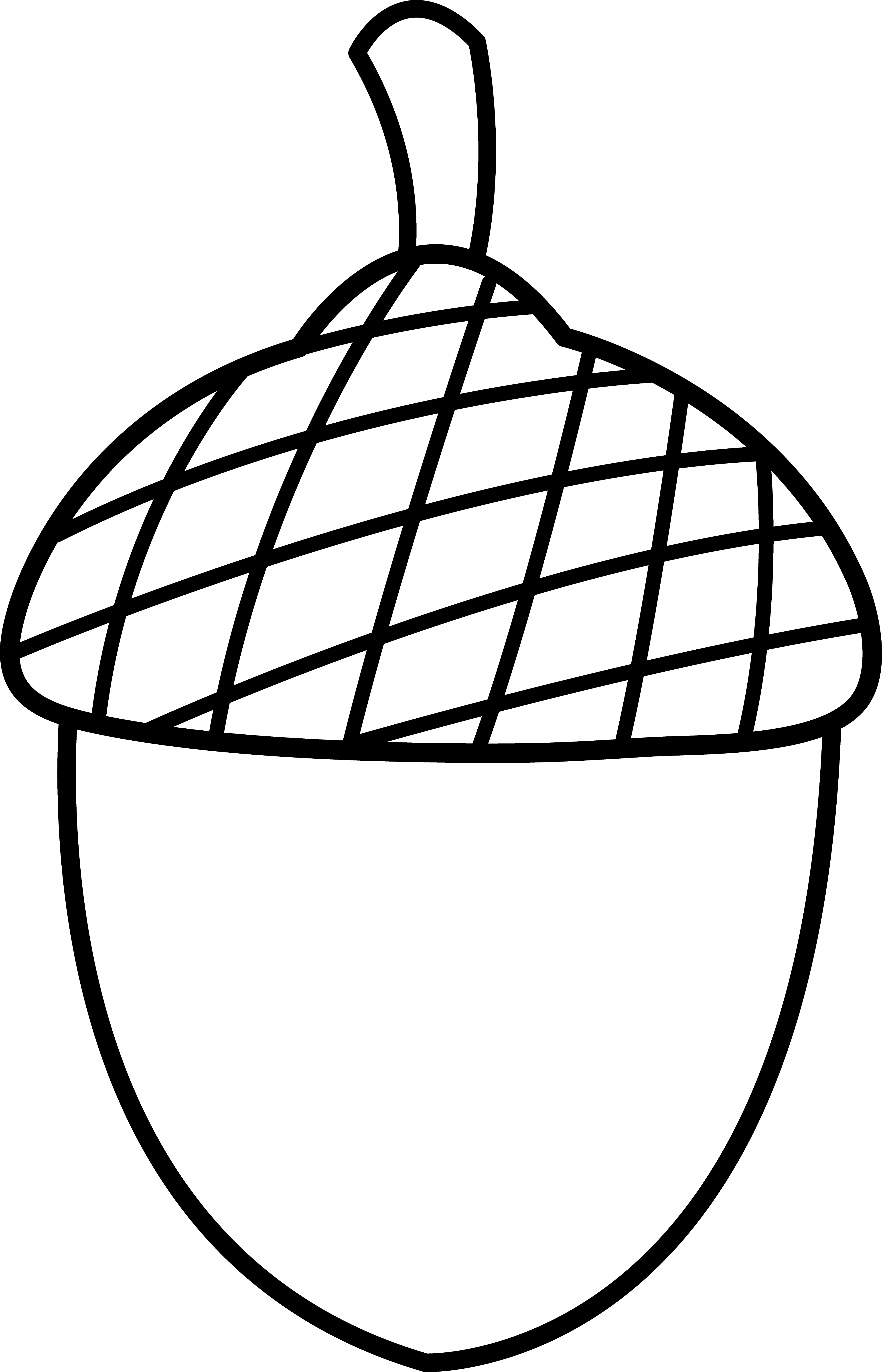 3963x6165 Acorn Line Art