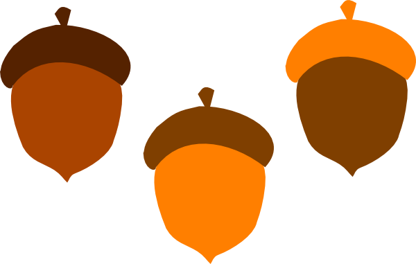 600x381 Acorns Clip Art