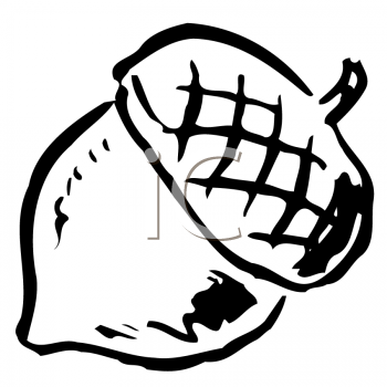 350x350 Acorn Clipart Outline