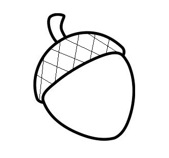 334x311 Acorn Clipart Simple