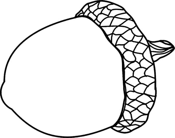 600x476 Appealing Acorn Coloring Pages 99 For Your Gallery Coloring Ideas