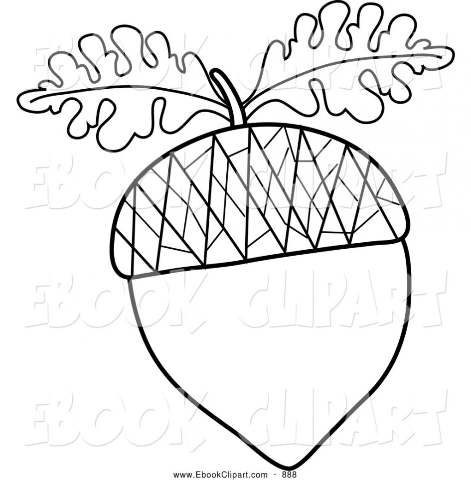 945x963 Download Coloring Pages Acorn Coloring Pages Acorn Coloring Pages