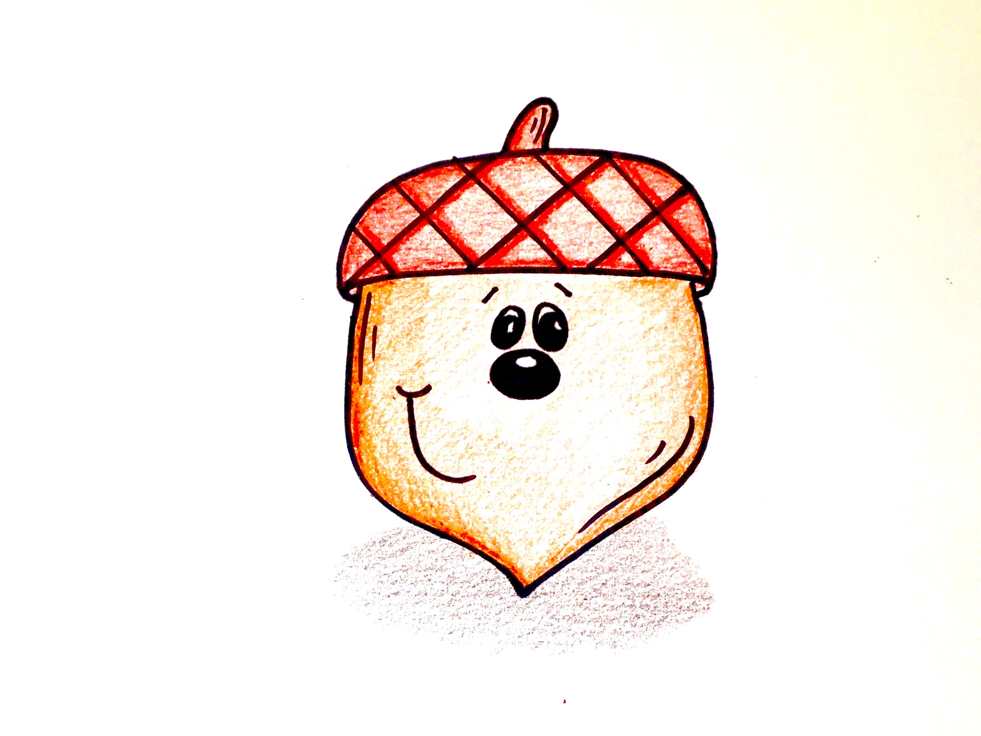 3264x2448 Drawing Lesson How To Draw A Cartoon Acorn