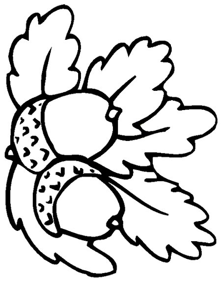 450x572 Fresh Acorn Coloring Pages 97 For Your Free Coloring Kids