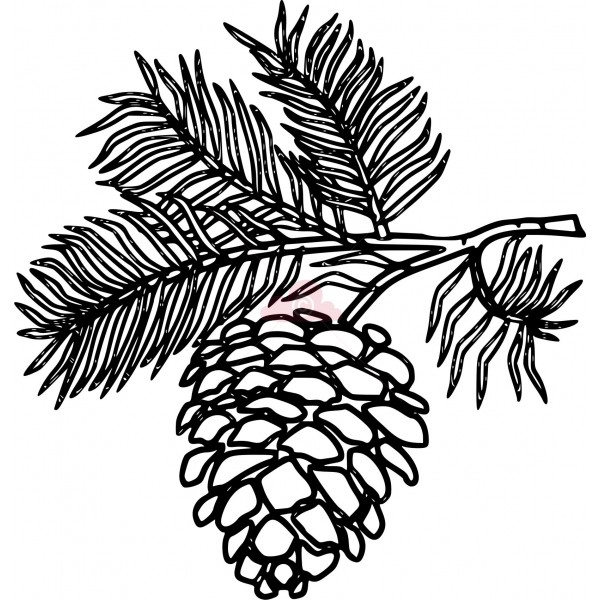600x600 Pine Cone Acorn Clipart, Explore Pictures