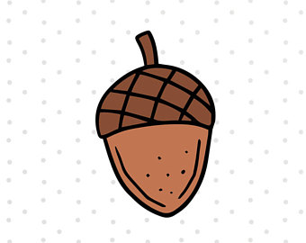 340x270 Acorn Svg Etsy