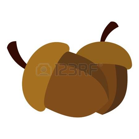 450x450 Brown Clipart Acorn