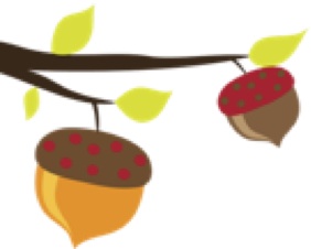 282x226 Natalie Hutton The Acorn