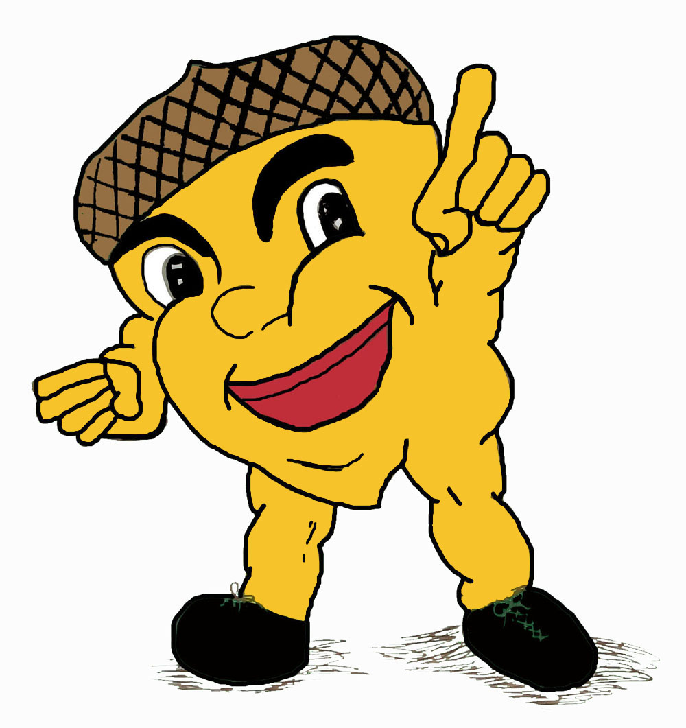 1000x1061 Acorn Clipart Clipart Panda