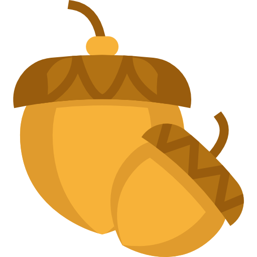 512x512 Acorn Icon