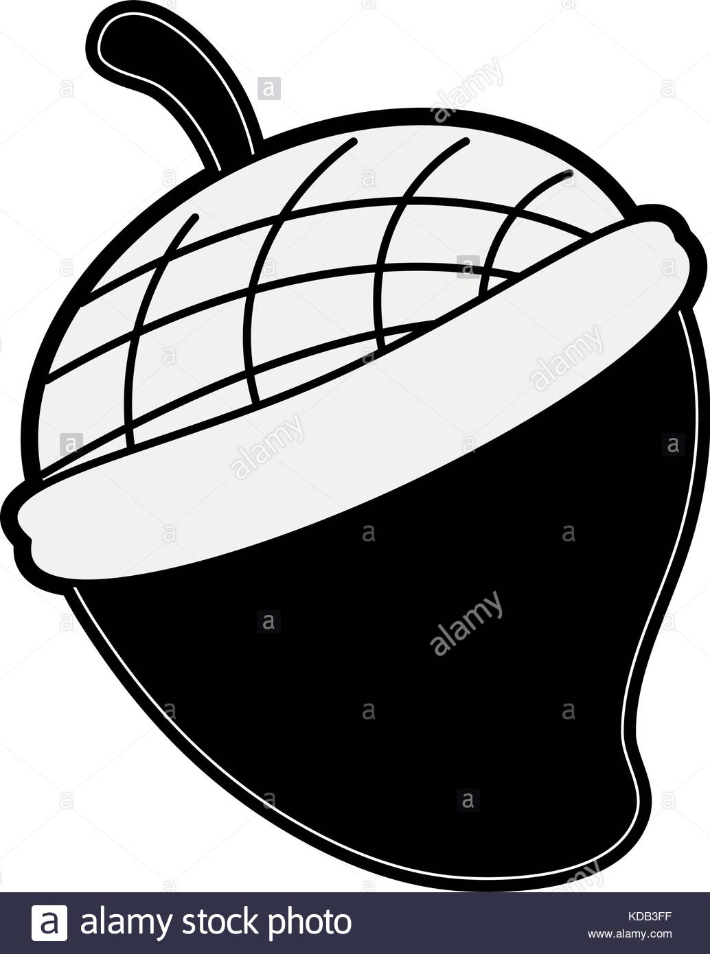 1034x1390 Acorn Icon Stock Photos Amp Acorn Icon Stock Images