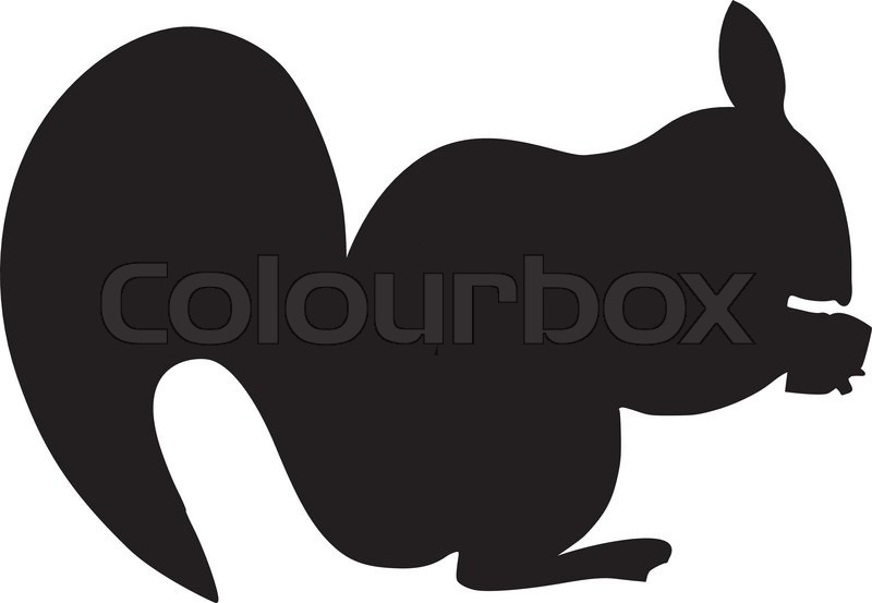 800x553 Silhouette Of Squirrel Stock Vector Colourbox