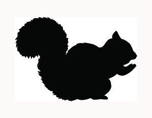 300x233 Squirrel Sticker Car Window Decal Cute Girl Love Pet Animal Acorn
