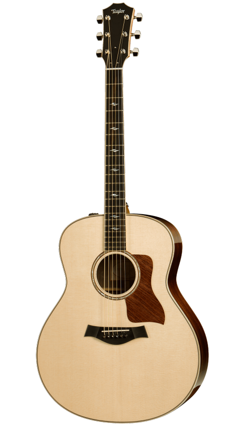 490x869 818e Taylor Guitars