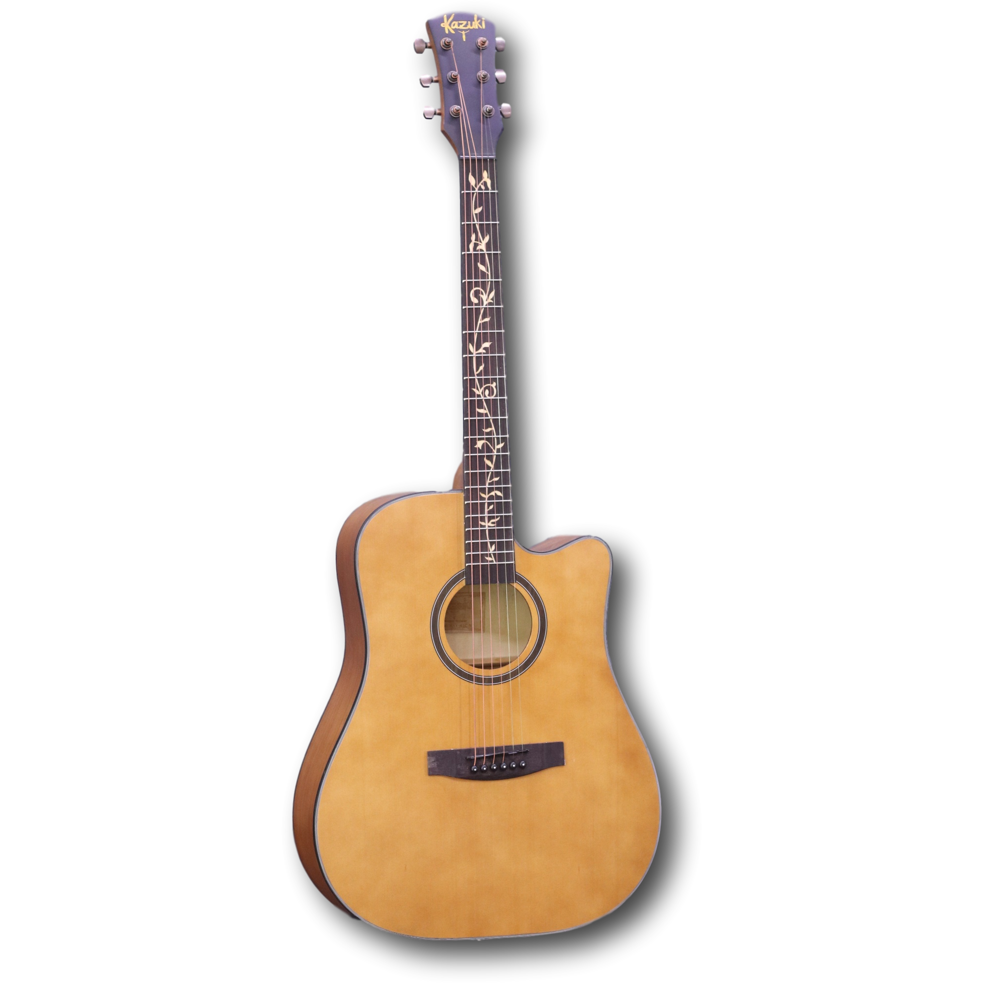 1994x1994 Acoustic Guitar Bas Instruments