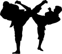 250x218 Karate Silhouette Clip Art Generic Sports Figures (Gold Clip Art