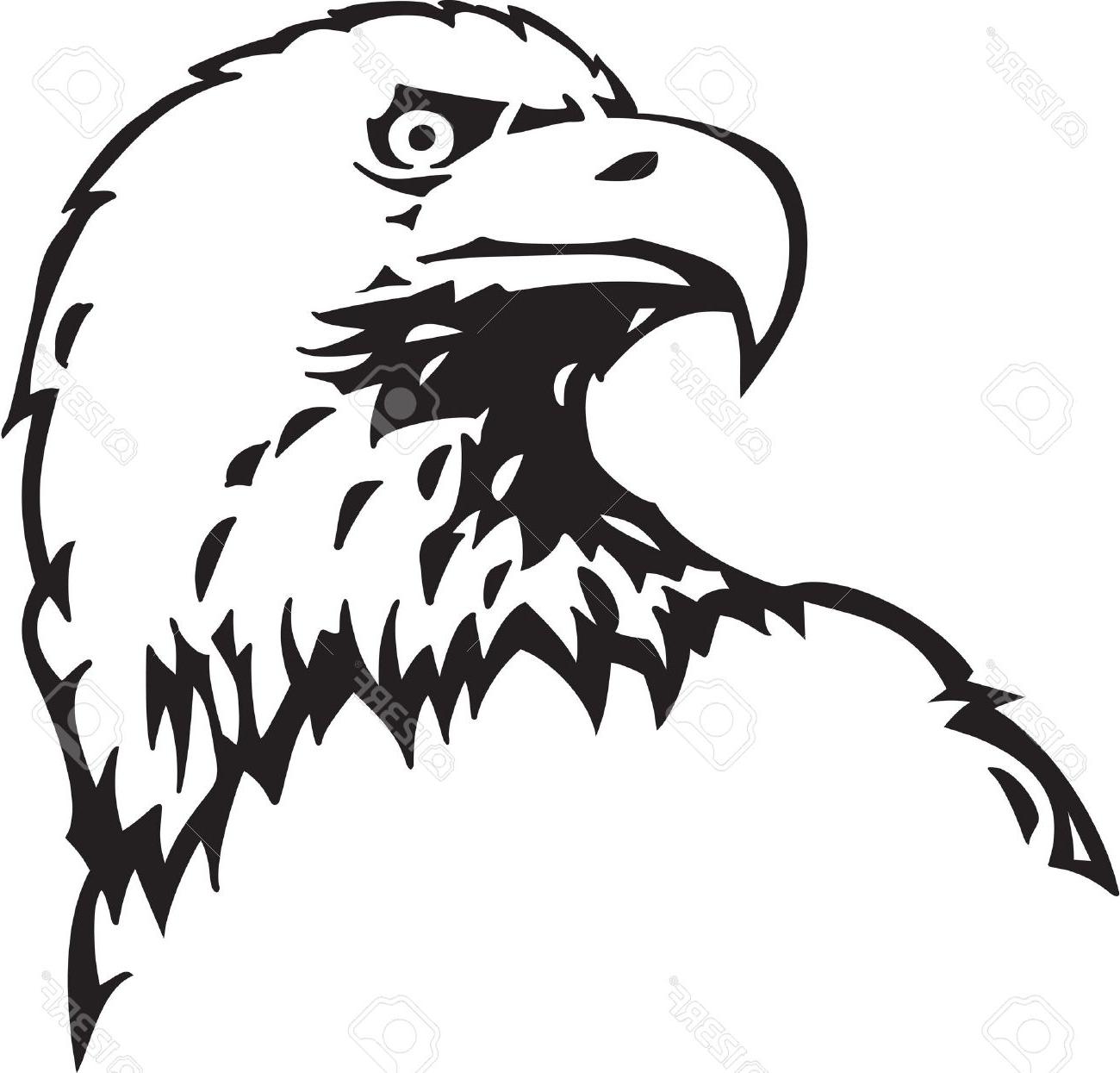 1300x1245 Best Bald Eagle Outline Drawing Vector Photos Free Vector Art