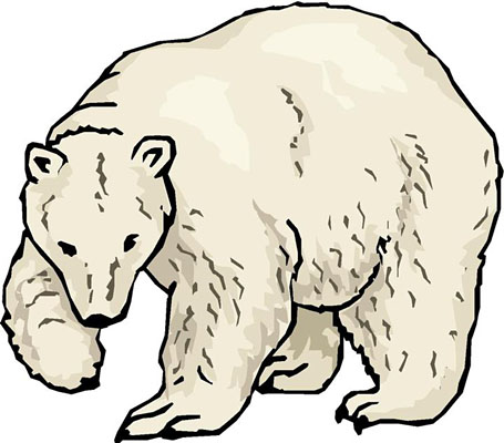 455x400 Polar Clipart
