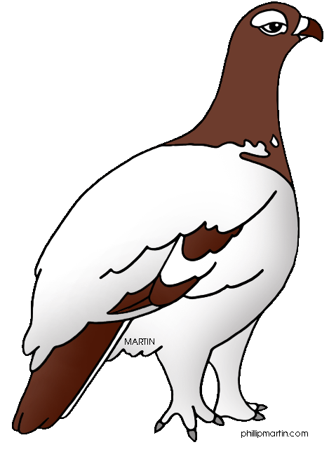 469x648 State Bird Of Alaska