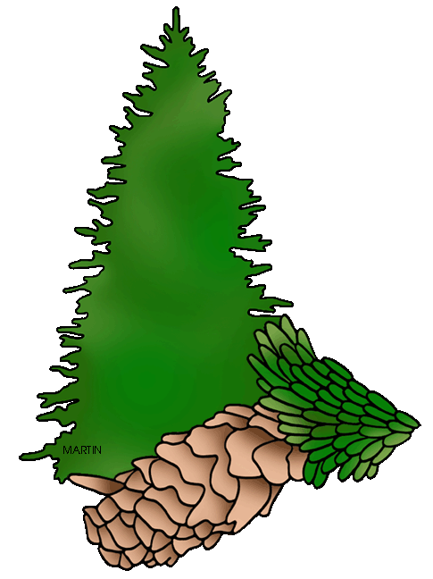 485x648 United States Clip Art By Phillip Martin, State Tree Of Alaska