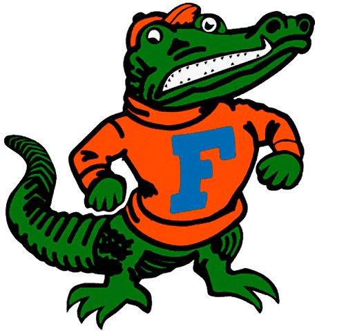 501x479 Alligator Clipart Florida Gator