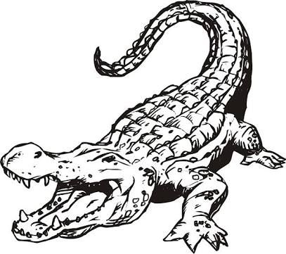 407x361 35 Best Alligator Tattoo Designs Images Design