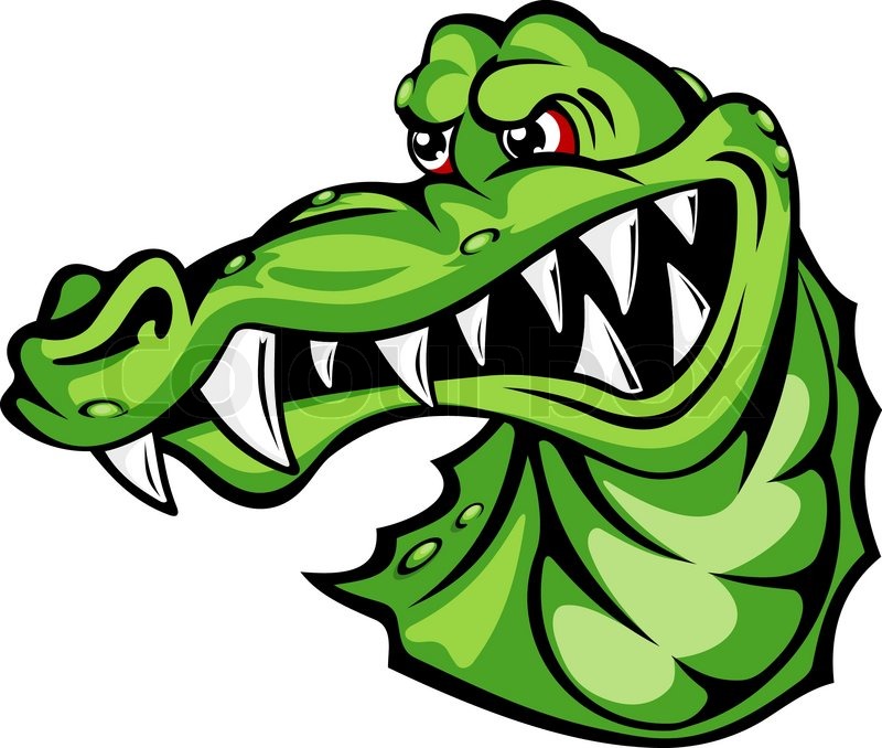 800x678 Wild Angry Alligator In Cartoon Design. Vector Illustration