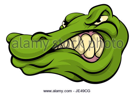 Alligator Image