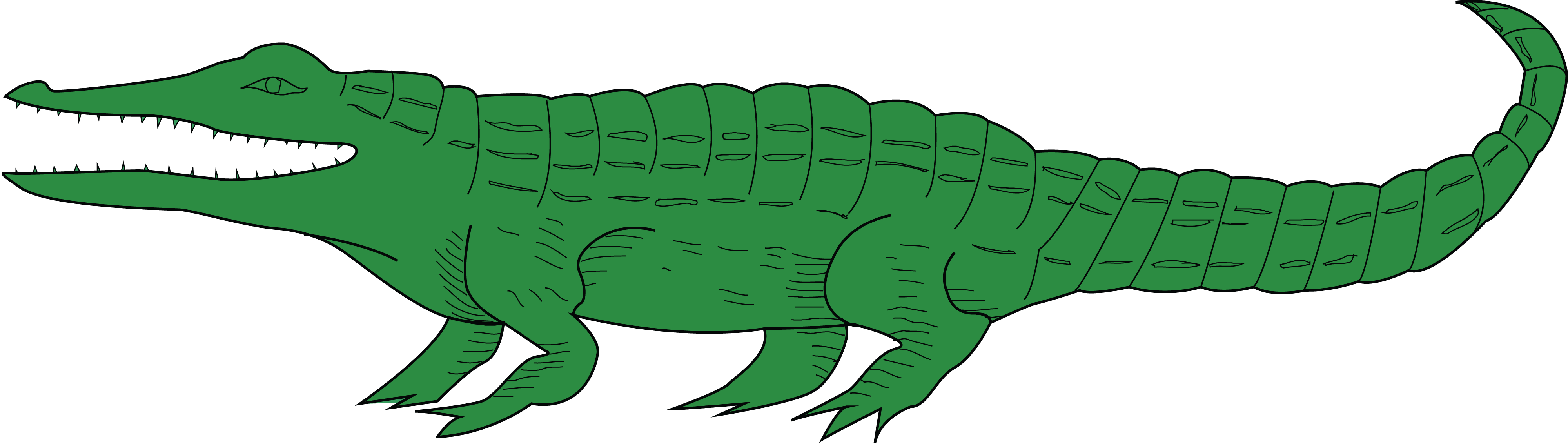 4000x1130 Free Clipart Of A Green Alligator